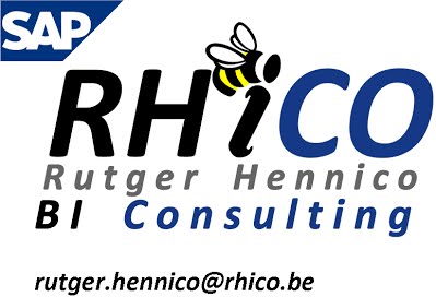 View Rutger Hennico's profile on LinkedIn